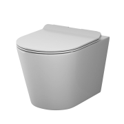 Унитаз подвесной AM.PM Sunny C85C1701SC preview