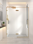 Душевая дверь Veconi Premium Alassio 120см AL-120-00-G-C4 preview