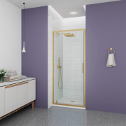 Душевая дверь Veconi Ottimo 90см OP30G-90-01-C9 preview