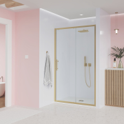 Душевая дверь Veconi Evo 150см E1-G-150-01-C9 preview